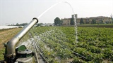 Crisi agricoltura trapanese. Mcl e Feder.Agri incontrano il Prefetto