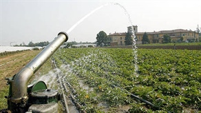 Crisi agricoltura trapanese. Mcl e Feder.Agri incontrano il Prefetto